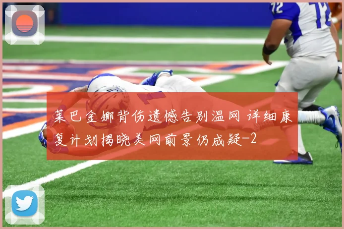 莱巴金娜背伤遗憾告别温网 详细康复计划揭晓美网前景仍成疑