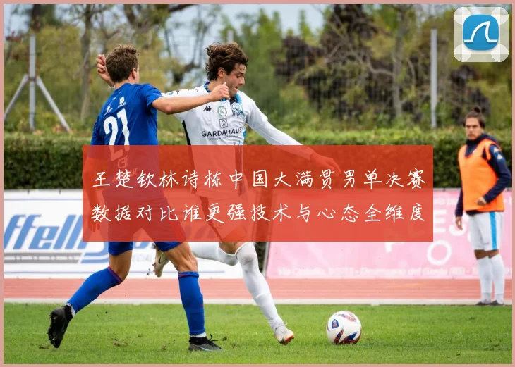王楚钦林诗栋中国大满贯男单决赛数据对比谁更强技术与心态全维度解析